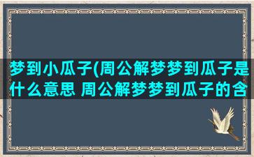 梦到小瓜子(周公解梦梦到瓜子是什么意思 周公解梦梦到瓜子的含义)